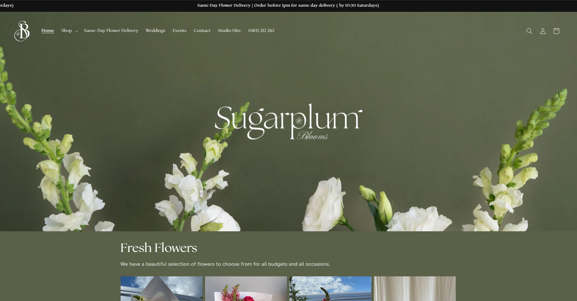 Portfolio Image for Sugarplum Blooms
